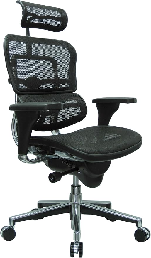 Ergohuman High Back Swivel Chair Ergonomic Chairs