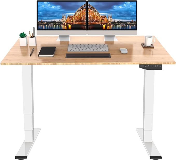 FlexiSpot EC1 Electric Standing Desk for Home Offices