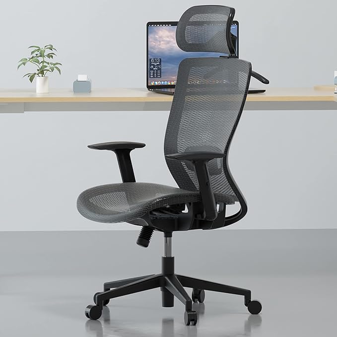 FlexiSpot Soutien Ergonomic Office Chair Ergonomic Chairs